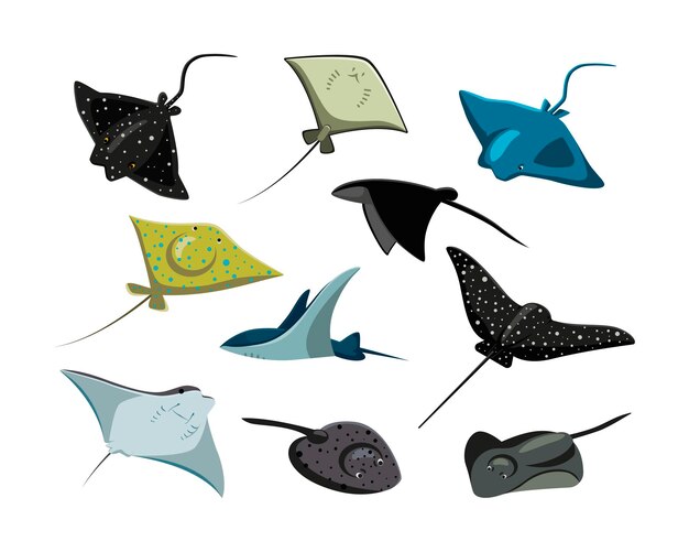 Conjunto de ilustraciones vectoriales planas de mantarrayas cómicas. Lindos personajes de dibujos animados de peces con ojos, manta raya, adorables criaturas marinas aisladas en fondo blanco. Animales, vida silvestre, concepto de naturaleza.