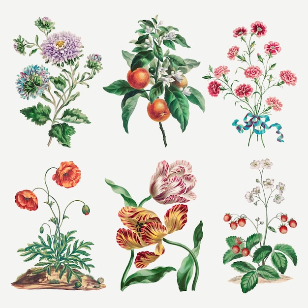 Conjunto de impresión de arte vintage de vector de flores, remezclado de obras de arte de John Edwards