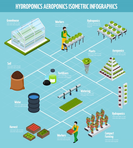 Conjunto de infografía hidropónica