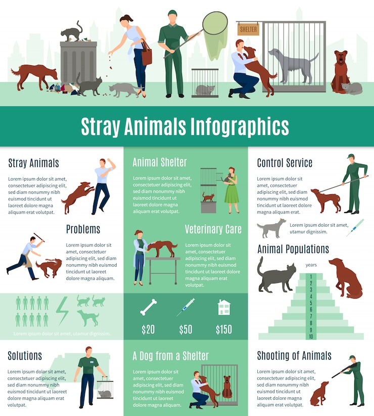 Vector gratuito conjunto de infografías de animales callejeros con el valor de cálculo en servicios veterinarios.