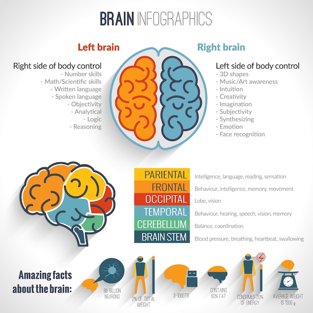 Conjunto de información cerebral