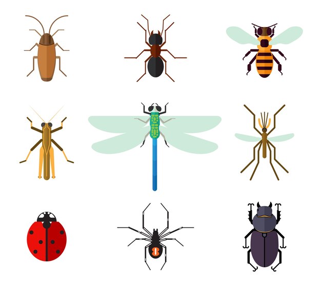 conjunto de insectos en estilo plano.