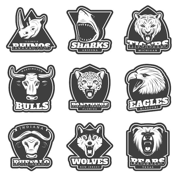 Conjunto de insignias deportivas de equipo vintage