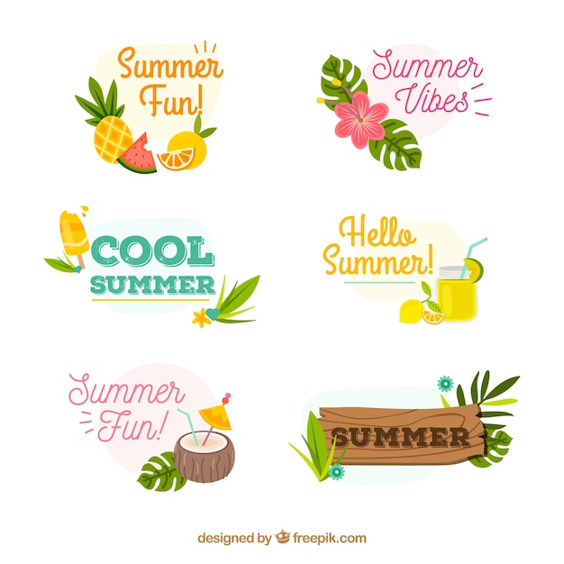 Conjunto de insignias de verano con frutas y plantas