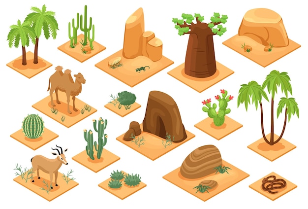 Conjunto isométrico de elementos del desierto con palmeras baobab cactus suculentas flora serpiente camello arenisca arena ilustración vectorial aislada