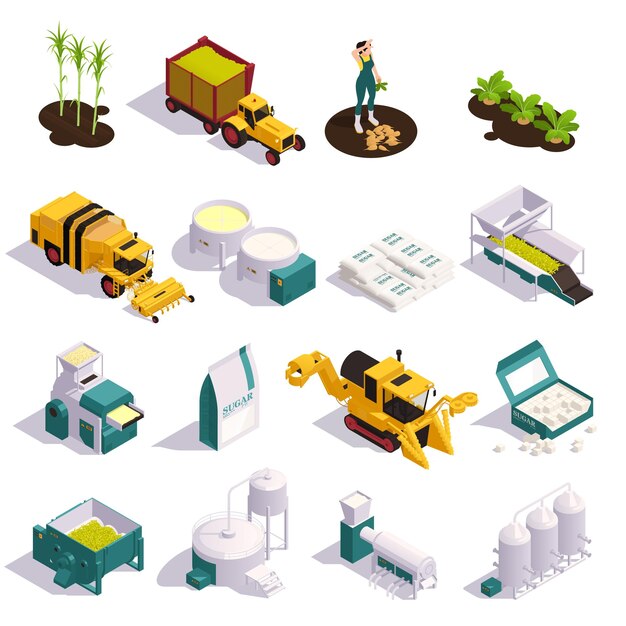 Conjunto isométrico de equipos de producción de azúcar para cosechar y procesar caña y azúcar de remolacha ilustración vectorial aislada