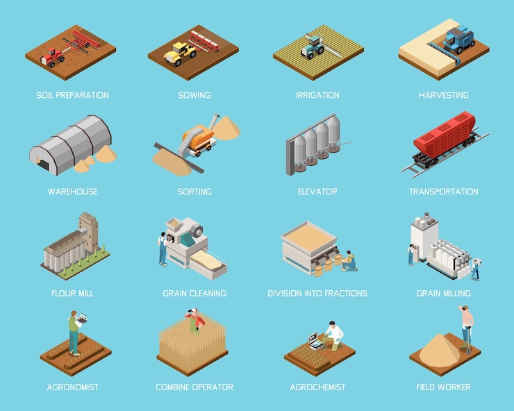 Vector gratuito conjunto isométrico de la industria del grano de trigo de la preparación del suelo, riego, cosecha, clasificación, limpieza, transporte, ascensor, grano y molienda de harina, iconos aislados, ilustración vectorial