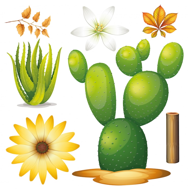 Vector gratuito conjunto de jardinería temática de objetos aislados