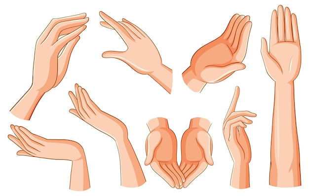 Vector gratuito conjunto de manos humanas en diferentes posiciones y gestos