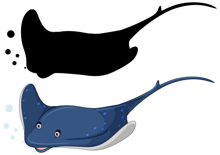 Vector gratuito conjunto de mantarraya y su silueta.