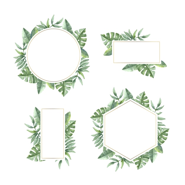 Vector gratuito conjunto de marco floral acuarela