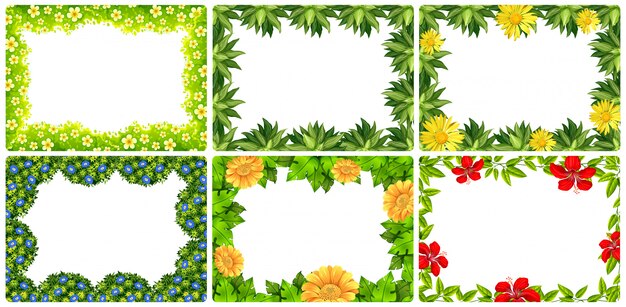 Conjunto de marco de flores de la naturaleza