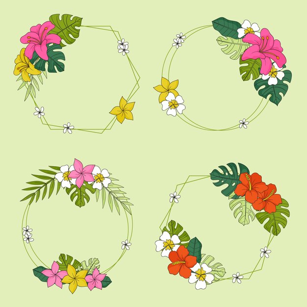 Conjunto de marco de flores tropicales dibujadas a mano