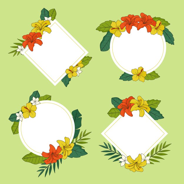 Conjunto de marco de flores tropicales dibujadas a mano