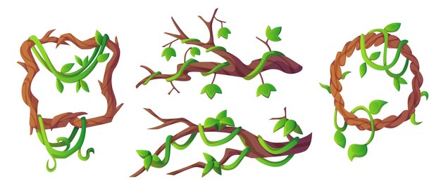 Conjunto de marcos y ramas de lianas de la selva