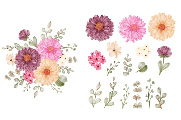 Conjunto, de, margarita, púrpura, flor, aislado, floral, y, hojas, clipart