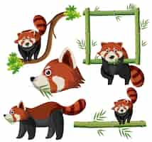 Vector gratuito conjunto mixto de panda rojo