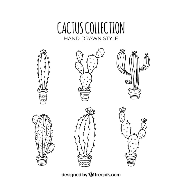 Conjunto moderno de cactus abocetados