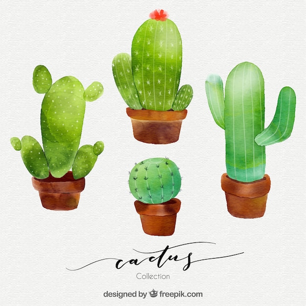 Conjunto moderno de cactus en acuarela