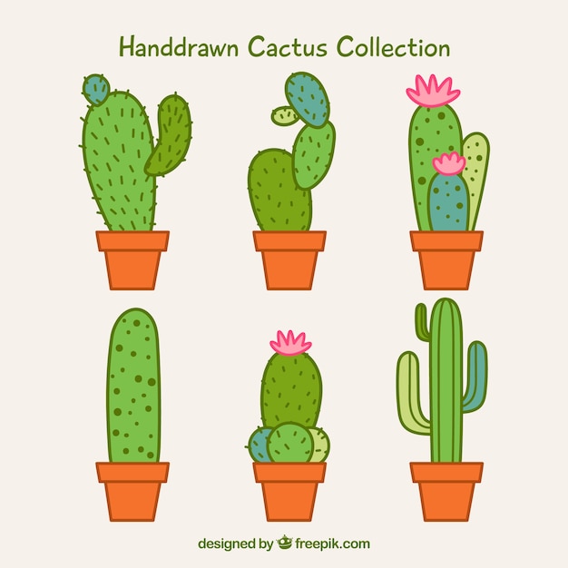 Vector gratuito conjunto moderno de cactus coloridos