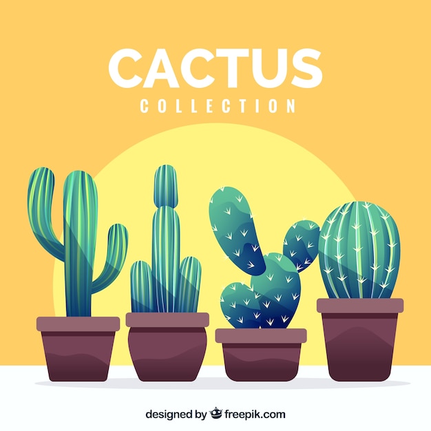 Vector gratuito conjunto moderno de cactus divertidos