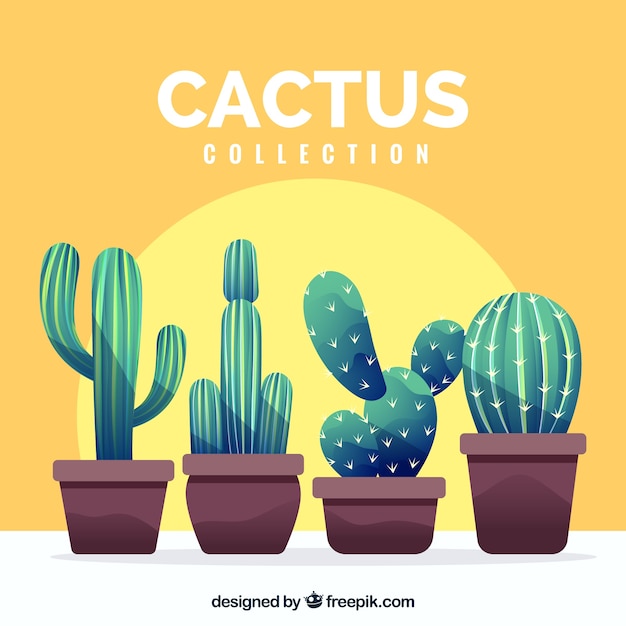 Conjunto moderno de cactus divertidos