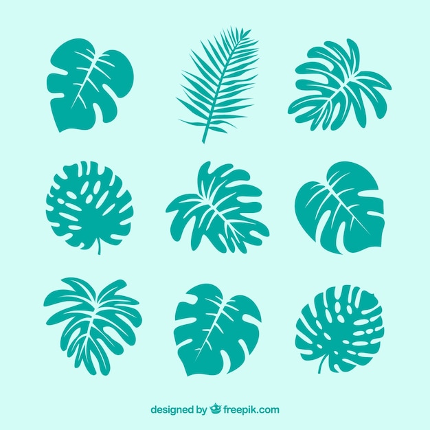 Conjunto moderno de hojas tropicales con diseño plano