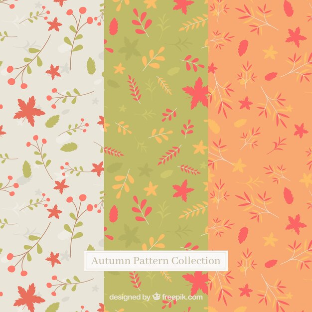 Conjunto moderno de patrones de otoño adorables