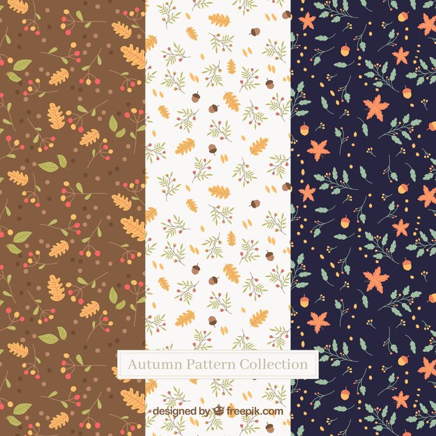 Conjunto moderno de patrones de otoño adorables