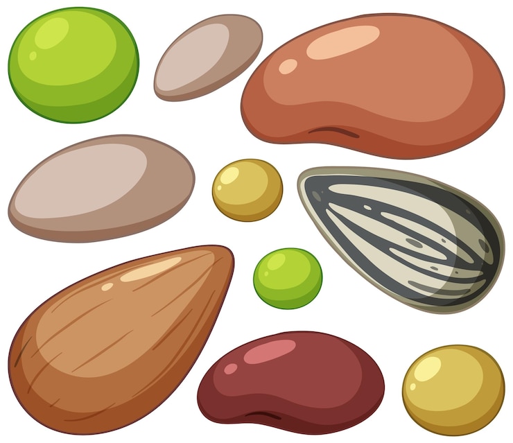 Vector gratuito conjunto de nueces y guisantes