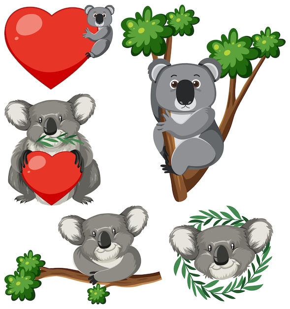 Conjunto de oso koala con mano para salvar animal.