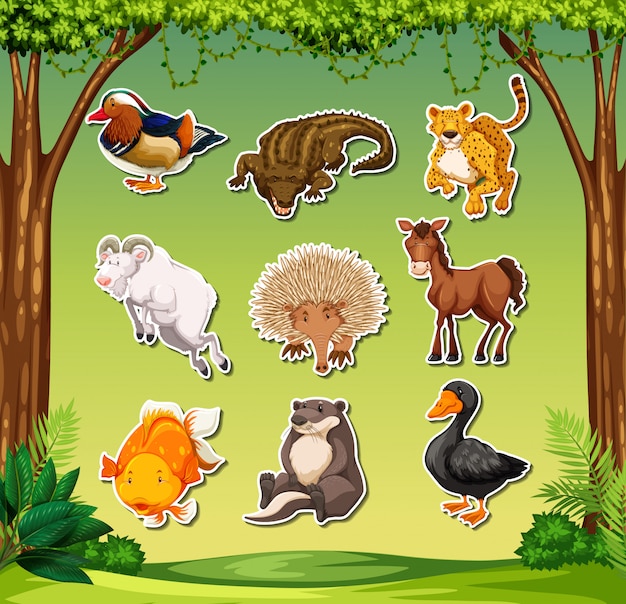 Conjunto de pack de pegatinas de animales.