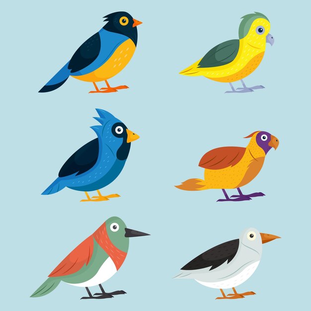 Conjunto de pájaros dibujados a mano
