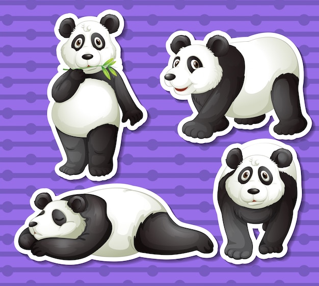 Vector gratuito conjunto de panda