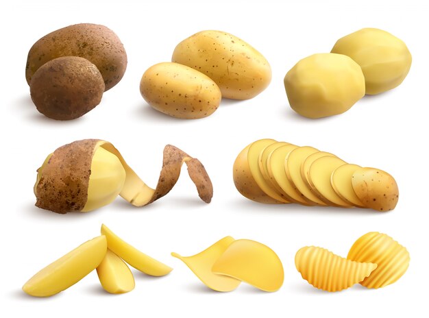 Conjunto de papas crudas y fritas de crudo tratado picado y chips realistas