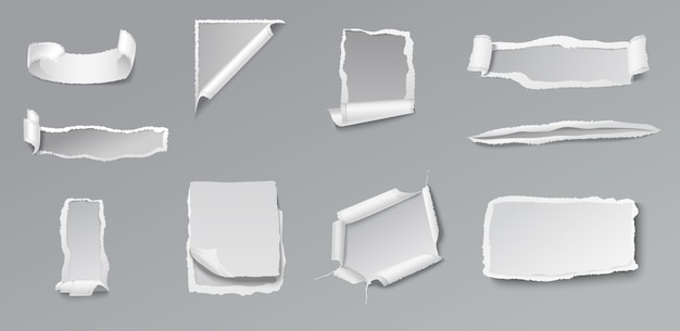 Conjunto de papel rasgado en blanco de diferentes formas y formas en gris