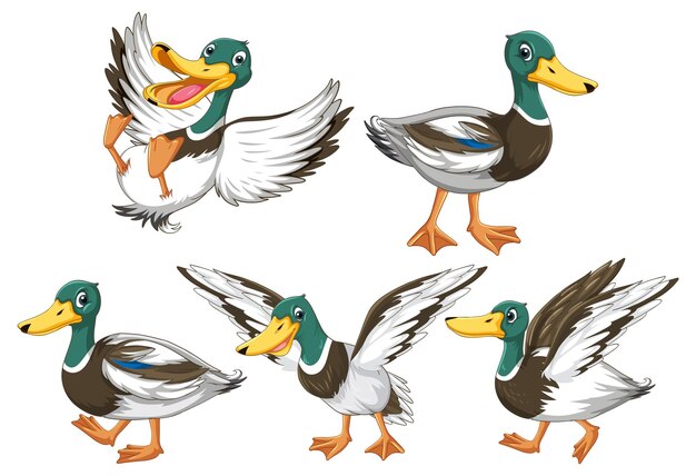 Conjunto de patitos haciendo diferentes actividades