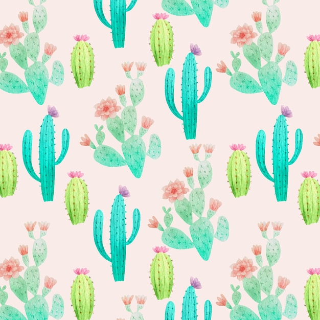 Vector gratuito conjunto de patrón de plantas de cactus