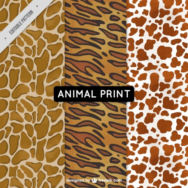 Vector gratuito conjunto de patrones de animales