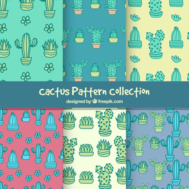 Conjunto de patrones de cactus