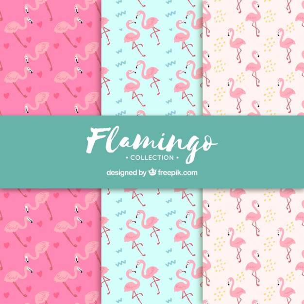 Conjunto de patrones de flamencos en estilo hecho a mano