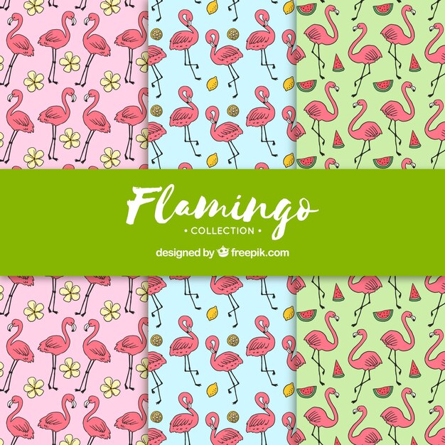 Conjunto de patrones de flamencos con plantas y frutas
