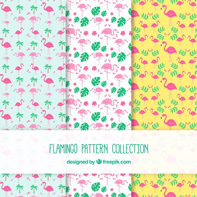 Conjunto de patrones de flamencos con plantas 