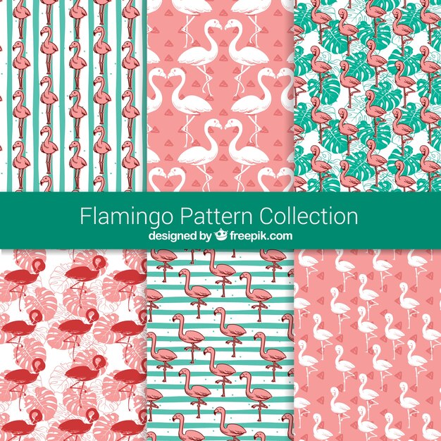 Conjunto de patrones de flamencos con plantas 