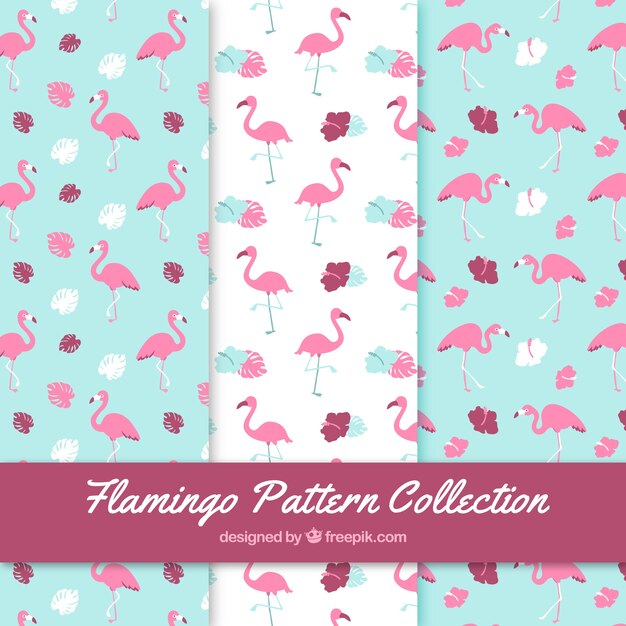Conjunto de patrones de flamencos con plantas 