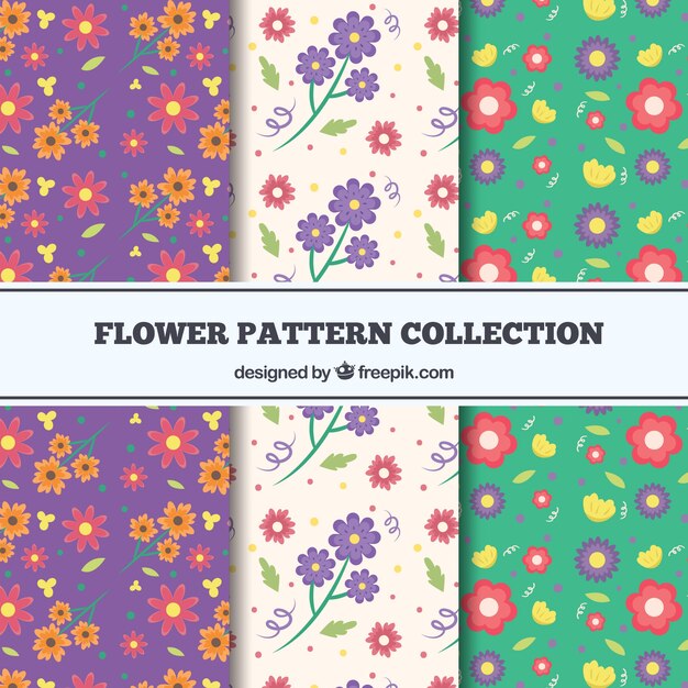 Conjunto de patrones de flores coloridas