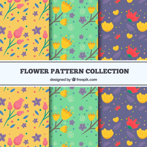 Conjunto de patrones de flores coloridas