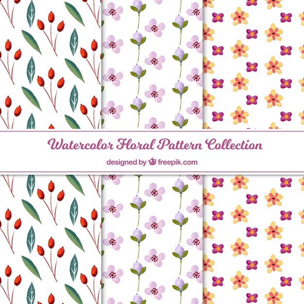 Conjunto de patrones de flores coloridas