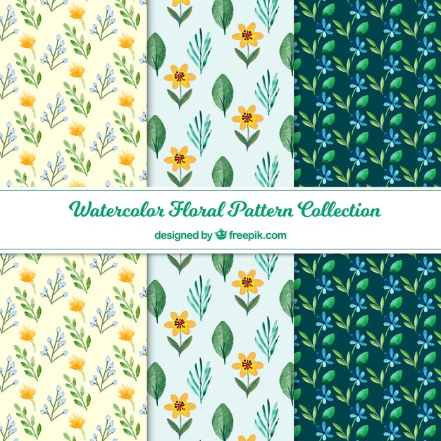 Conjunto de patrones de flores coloridas