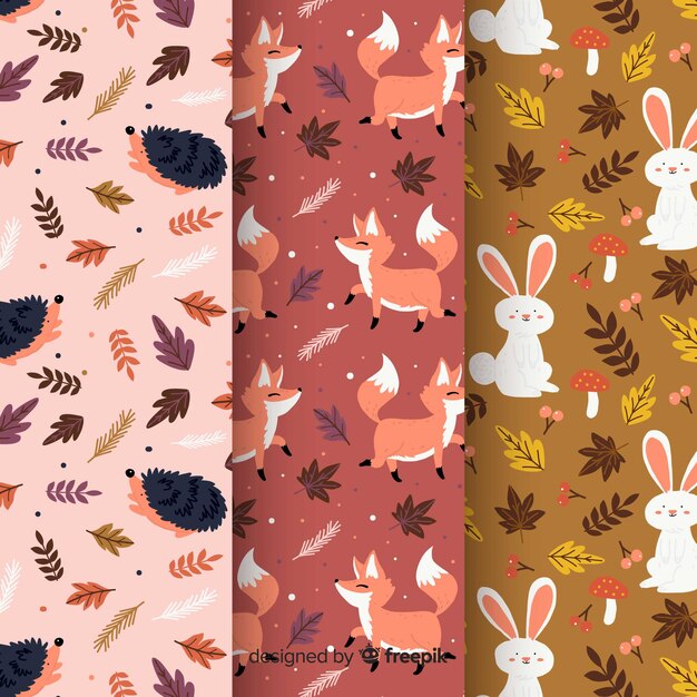 Conjunto de patrones de otoño dibujados a mano